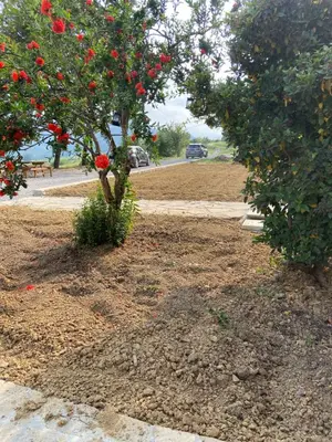 Giardino di Agriturismo cergallina