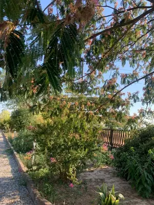 Giardino di Villa Luigia