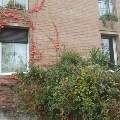 Giardino di Casa VINCENZO 130 mq con portico ed ingresso esclusivo dal giardino