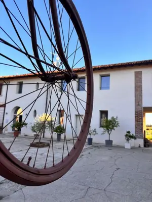 Attività di ciclismo presso il bed & breakfast o nelle vicinanze