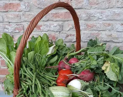 Giardino di Cascina Angelina