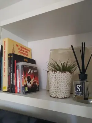Biblioteca nell'appartamento