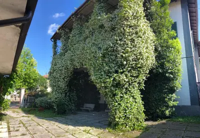 Giardino di Appartamento Il Gelsomino