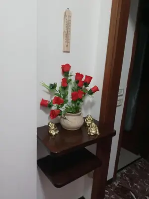 Planimetria di Casa SARA FIDENZA