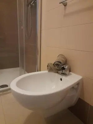 Bagno di Domus Flavia