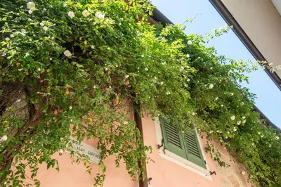 Giardino di B&B Teodoro