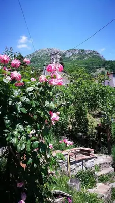 Paesaggio naturale nelle vicinanze della villa