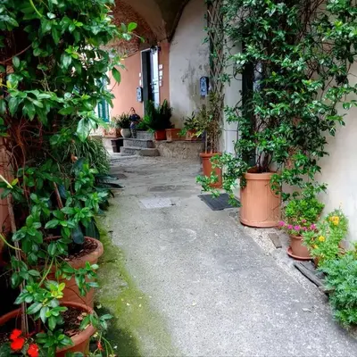 Il Nido delle Rondini