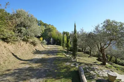 Paesaggio naturale nelle vicinanze della villa