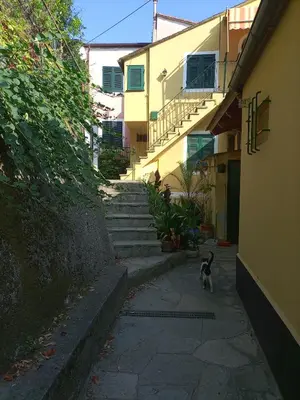 Il quartiere o una zona nella vicinanze dell'appartamento
