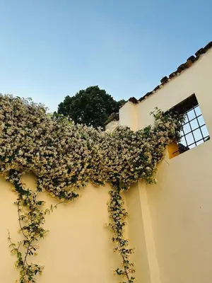 Planimetria di Pizzighettone Residenza La Corte