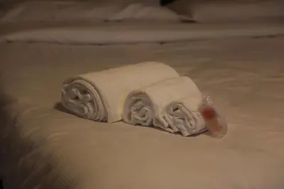 Letto o letti in una camera di Garden suite / del ducato
