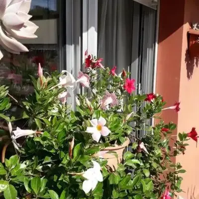 La casa di Teri a Chiavari