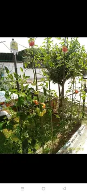 Giardino di Casa Dirindo