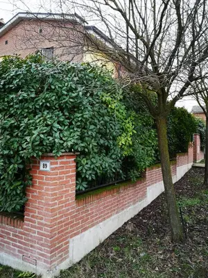 Giardino di SUITE TRAVEL HOME