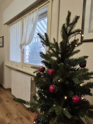 Planimetria di Due passi dal Te