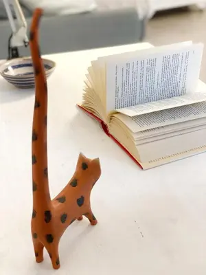Biblioteca nell'appartamento