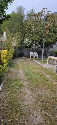 Altri animali domestici presso l'appartamento o nei dintorni