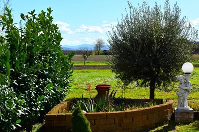 Giardino di B&B La casa di Graz