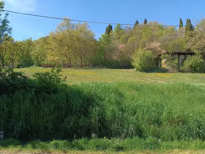 Paesaggio naturale nelle vicinanze del bed & breakfast