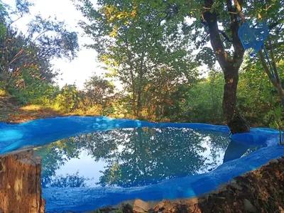 Piscina di @gatetothewild o nelle vicinanze