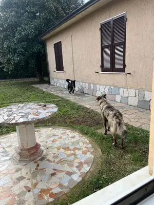 Planimetria di Casavacanze Azzurra