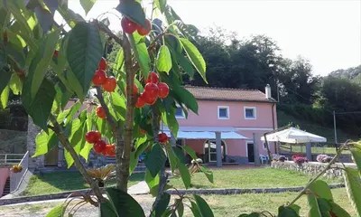 Giardino di B&B La Casina Rosa La Spezia